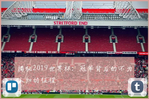 揭秘2019世界杯：冠军背后的不为人知的征程